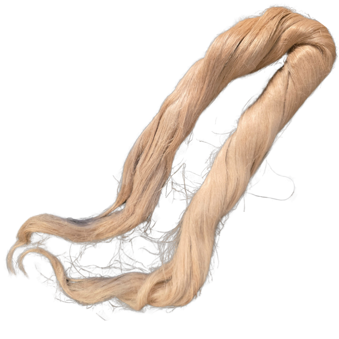Flax Strick for Spinning