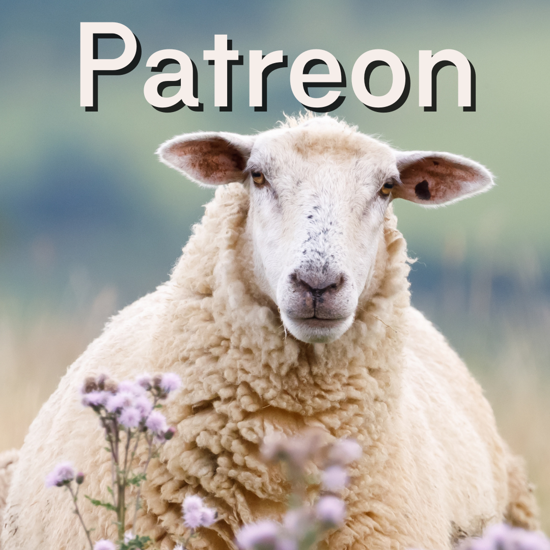 A sheep standing in a field behind wild clover. "Patreon" is written above the sheep.